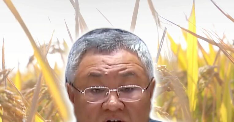 中方呼吁推动停火止战以保障粮食生产安全