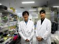 RNA疗法再迎突破！专访名古屋大学教授阿部洋：新技术有望让药物作用时间更长，患者用药剂量更低、次数更少