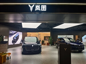岚图上市后发布首份半年报：技术服务收入增长近6倍，受原材料涨价影响转亏3.89亿元