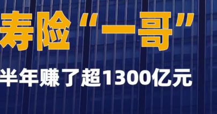 寿险“一哥”半年赚了超1300亿元