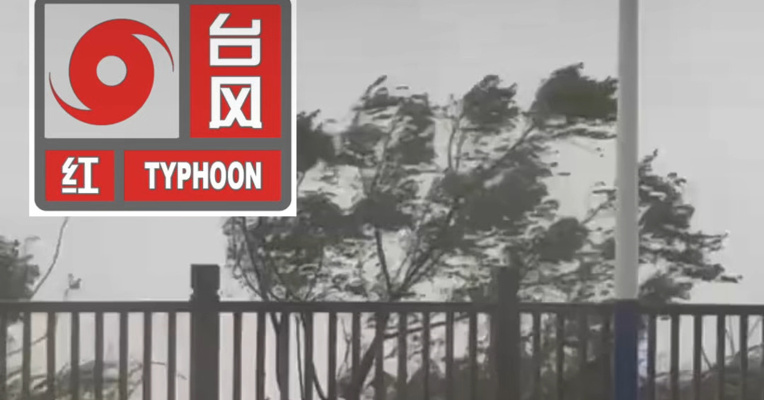 三预警齐发！这些地方有大暴雨、特大暴雨！台风“沙德尔”在浙江再次登陆，中心附近最大风力12级
