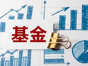 一文读懂公募中报新指标！“盈利投资者数量占比”怎么算？为何有基金回撤大，超九成投资者却能盈利？