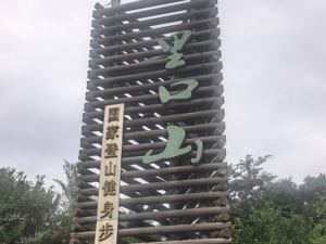 活力中国调研行｜10亿元修复生态、144家小店进山：山东威海一座“城市后花园”的共富实验