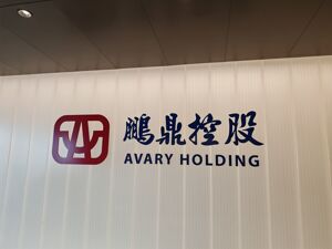 年内股价涨超70%！鹏鼎控股96亿元定增将上股东会，剑指AI服务器及光模块PCB项目