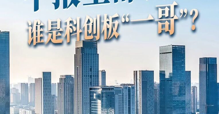2026中报全部出炉  谁是科创板“一哥”？