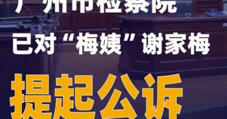 广州市检察院 已对“梅姨”谢家梅提起公诉