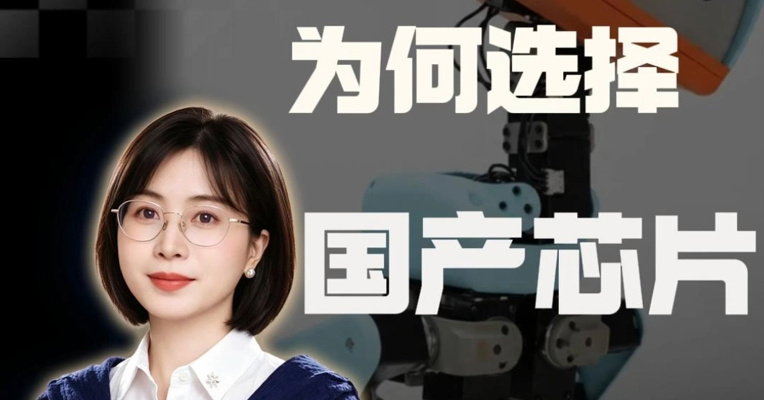 全球爆火的机器鸭 为何选择国产芯片？