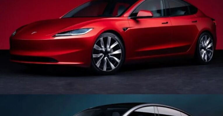 特斯拉中国宣布：9月30日前下单并提走现车 Model 3全系现金激励5000元 Model Y全系现金激励10000元
