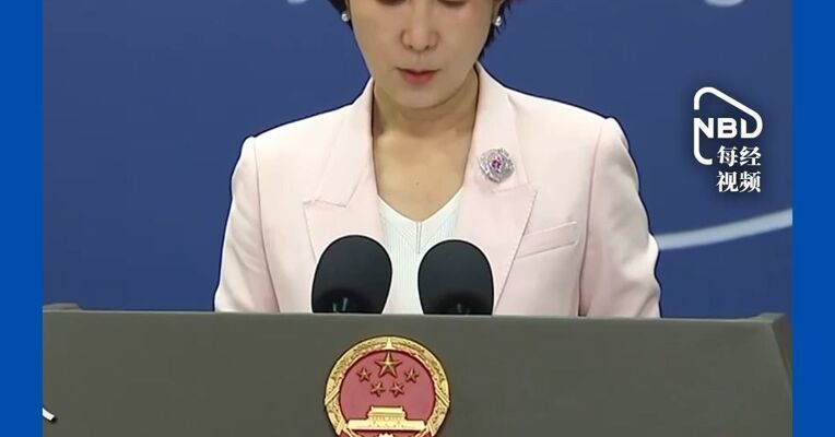 外交部：中美双方就AI问题保持着沟通