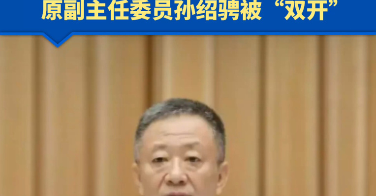 “打虎”！搞迷信活动，纵容、默许子女利用其职务影响谋取私利，十四届全国人大社会建设委员会原副主任委员孙绍骋被“双开”