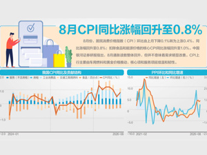 8月PPI同比涨幅扩大至3.8% 分析师指出，这是外部输入与内部转型双重因素共同推动的结果
