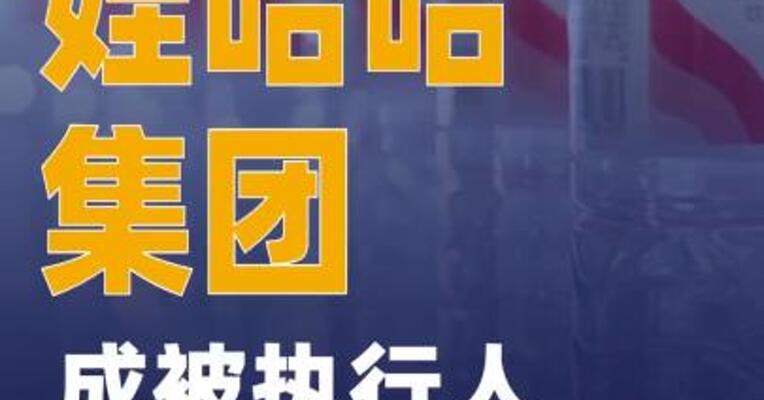 娃哈哈集团成被执行人