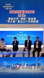 凌雄科技董事会秘书 刘炎：港股牛市“燃料”靠业绩  “导火索”看这三个外部因素