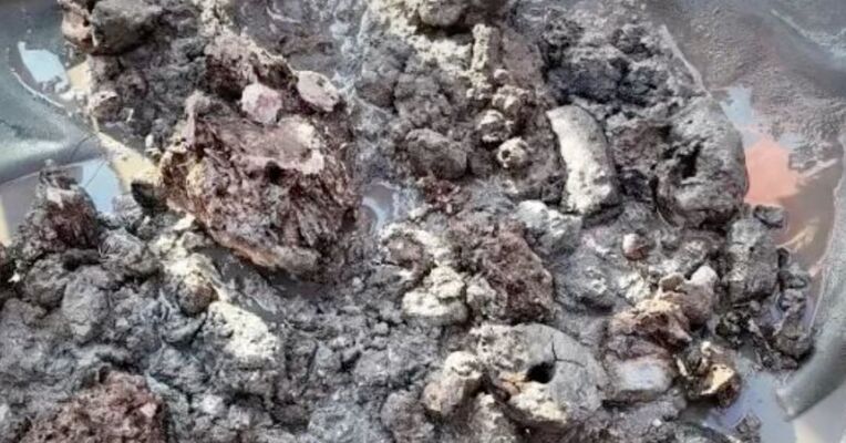 金银含量奇高！我国科考队新发现一处大型矿区，该矿体主要由黄铜矿、黄铁矿、闪锌矿等重要经济矿物组成