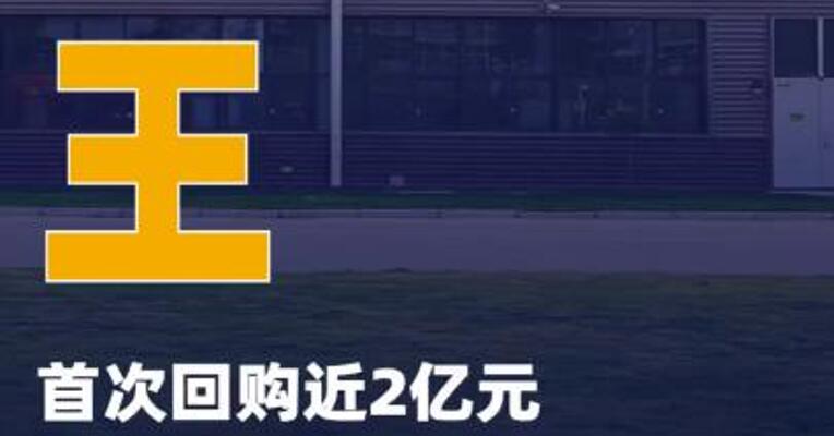 宁王首次回购近2亿元A股史上最大注销式回购启动