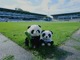 Open-uri20260913-10208-1vwq0ut.thumb_hs