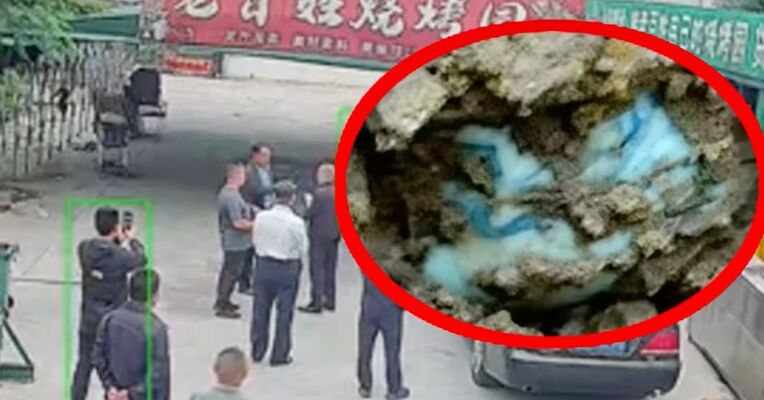 “菏泽烧烤店因举报文物丢失被频繁检查” ？当地：116次投诉均来自一人，执法不规范问题将严肃处理；山东文旅厅通报：疑似遗失文物初步认定为青花瓷器残片