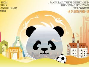 成都熊猫“空降”德甲赛场！埃尔沃斯贝格主场变黑白海洋，球迷：想去成都看真熊猫