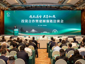 助力成渝中部崛起，“锂电之都”有了新目标
