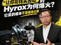 让你“花钱买苦吃”！Hyrox为何爆火？它卖的根本不是比赛