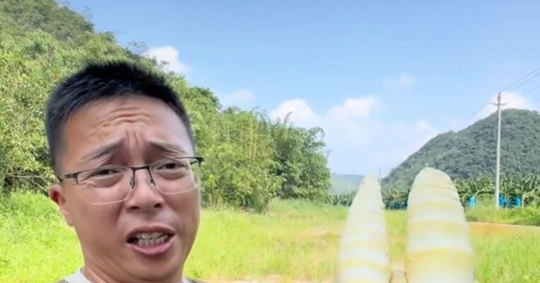 “甲醛白菜”爆料博主再曝“硫磺熏笋”：外观白净好看，熏制一晚，保质期一年，当地官方：情况属实，对涉事竹笋流向紧急追溯