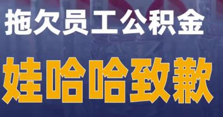 拖欠员工公积金娃哈哈致歉