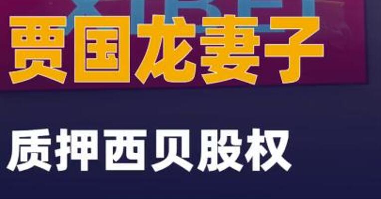 贾国龙妻子质押西贝股权