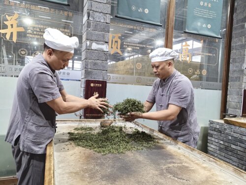活力中国调研行｜182万亩茶园牵手39个茶旅融合示范点，恩施茶产业跑出融合加速度