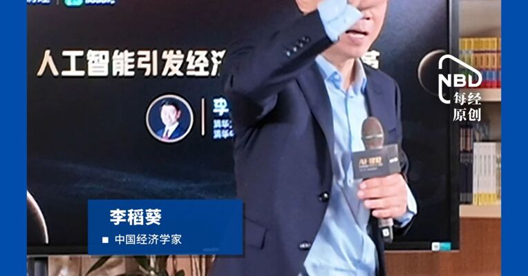 李稻葵：养老金不宜对标年轻人工资，政府应提供基本养老服务
