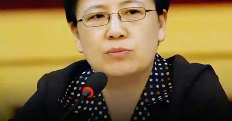教育部原党组成员、副部长鲁昕接受审查调查