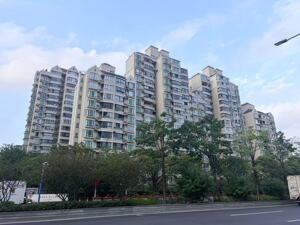 “8·28”楼市新政满月观察 | 上海新房开盘频现“日光”，有人加价抢购“老破小”