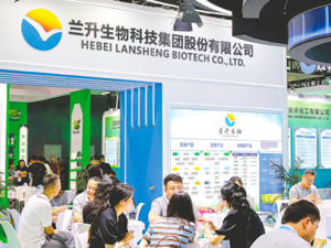 兰升生物冲刺深交所主板上市背后：竞争对手一场事故“助攻”，去年业绩大增