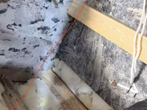 实名税务举报与“溜溜凳”品控争议并发，罗永浩及“交个朋友”面临合规与供应链双重压力 ，律师提示言论、税务风险边界