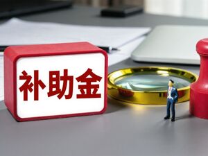 300101收到大额政府补助 占2025年归母净利润75.65%