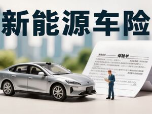 新能源车续保返现差异大：有车主收到近千元返现，有人投保分文不返