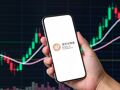 三日跌超30%！源杰科技连夜报喜：第三季度净利预增最高超6倍