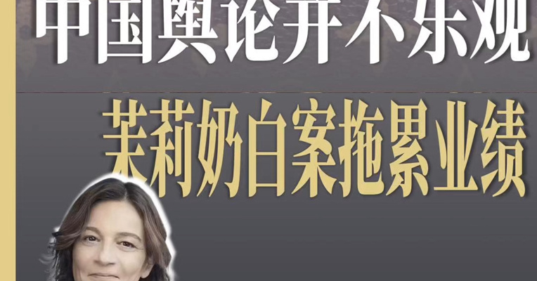 LVMH承认：茉莉奶白案造成中国业绩负面影响