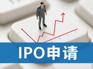 风华股份冲刺北交所IPO：境外销售毛利率“贴地”，又遇出口退税退坡