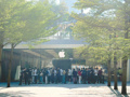 实探苹果首款折叠屏手机iPhone Duo开售现场：门店外排起长队“黄牛”加价2000元回收
