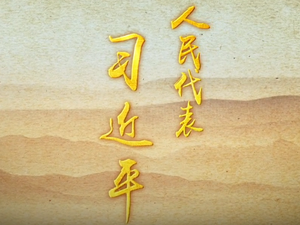 人民代表习近平