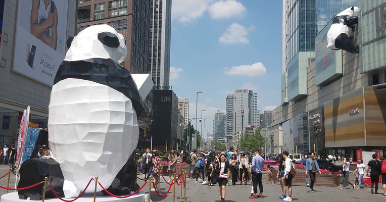 国宝也在秀恩爱！这么萌的求婚仪式你一定没见过
