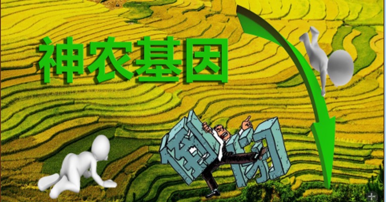 原创 | 从神农基因被立案调查说起——套路太深！小散们，你们如何不亏钱