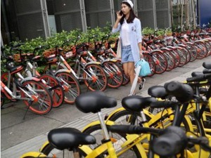 共享单车骑行指数榜出炉  成都北京蝉联冠亚军