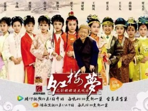 一群小孩演《红楼梦》迅速蹿红，幕后推手揭秘选角内幕……