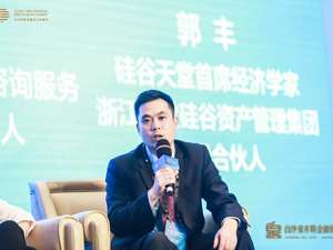 专访硅谷天堂首席经济学家、天堂硅谷管理合伙人郭丰：海外并购潮仍将持续