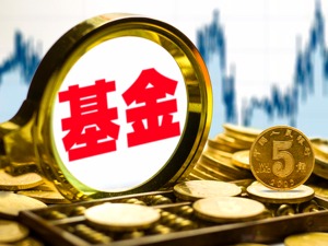 基金最新动向曝光：三板块被加仓！