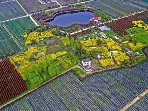 盘活农村集体经营性建设性用地 成都郫都区试点显成效