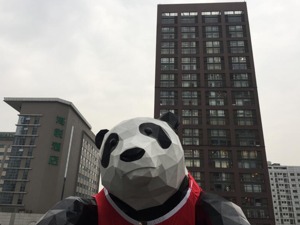 成都楼市新政解读：到2022年底全城只卖成品房！