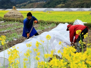  拟85.79亿港元转让生物燃料及生化业务 中国粮油控股进一步聚焦主业