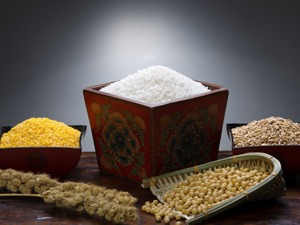 世行预计明年大宗商品价格继续回升